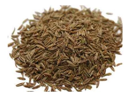 廣州孜然進(jìn)口報(bào)關(guān)資質(zhì)要求與海關(guān)編碼歸類